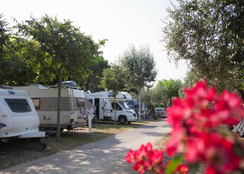 Camping Serenella Μπαρντολίνο Εξωτερικό φωτογραφία
