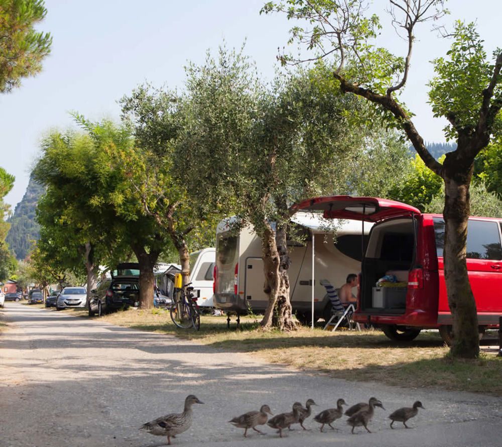 Camping Serenella Μπαρντολίνο Εξωτερικό φωτογραφία